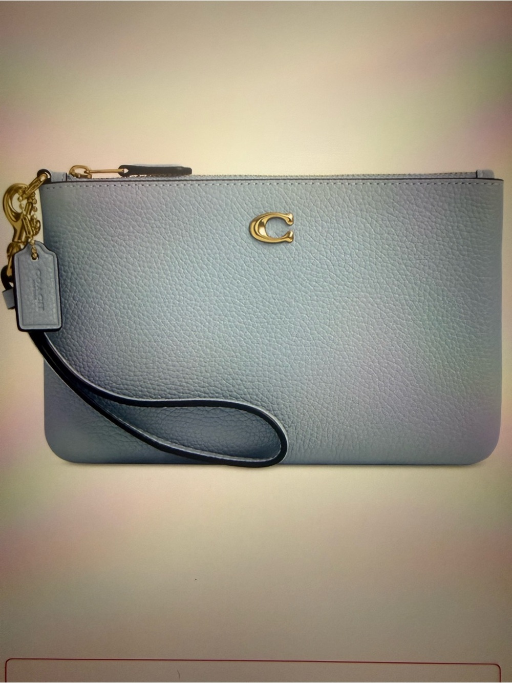 NWT COACH BLUEBELL SMALL LEATHER ZIP WRISTLET